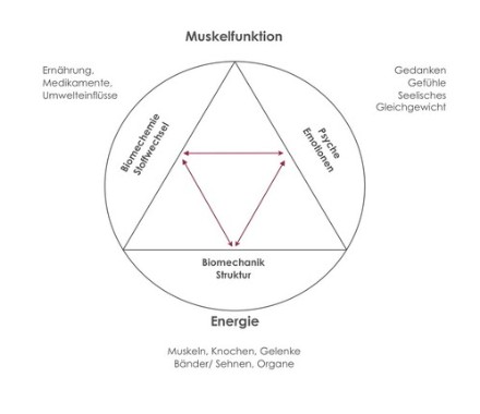 Triade der Gesundheit Triade der Gesundheit